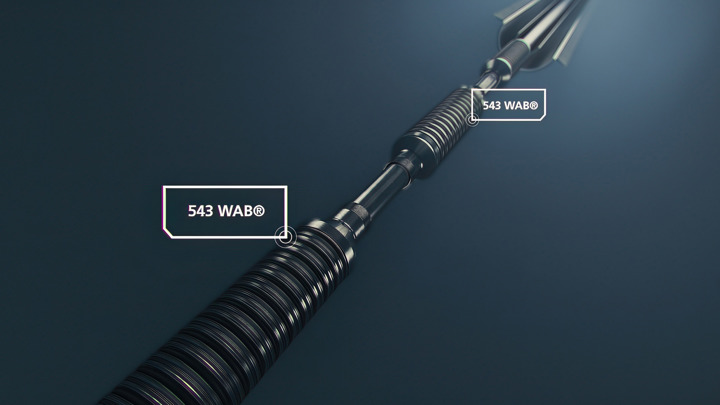 3D illustration showing dual 543 WAB® packers positioned for zonal isolation and enhanced well integrity in downhole operations.