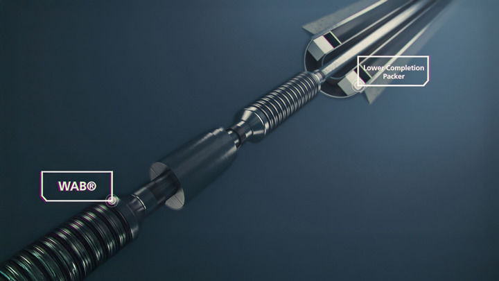 3D illustration of WAB® and lower completion packer setup to enhance well integrity for intelligent well system deployments.