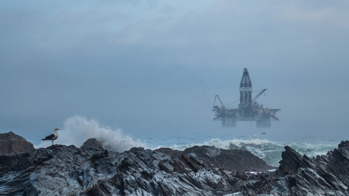 Offshore oil rig in foggy North Sea with waves breaking on rocks in foreground and a seagull perched on the shoreline.