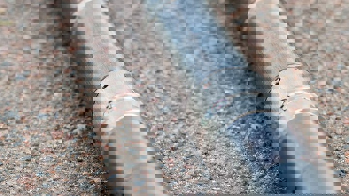 JNO161571 Welltec Release Device helps client reduce exposure and mitigate LIH risks