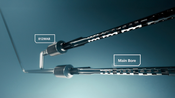 3D view of 812WABs used in multilateral wellbores to prevent fluid loss and support drilling operations.