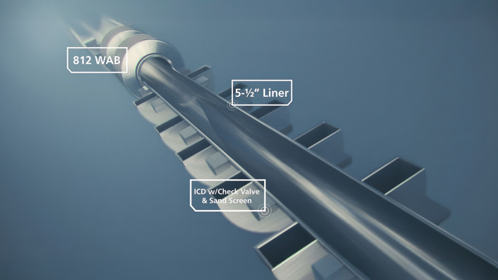 3D diagram showing 812 WAB, 5-½" liner, and ICD with check valve and sand screen for zonal isolation and sand control in well completion.